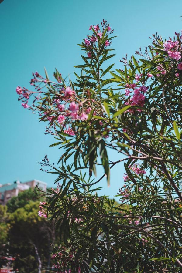 Monaco&quisisana 4* Lido di Jesolo